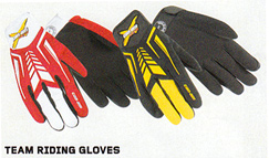 Team Riding Gloves